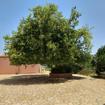 Antica Gebbia *