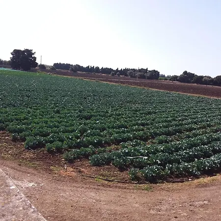 Antica Gebbia Casa rural